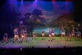 Tropical Island 6E 002